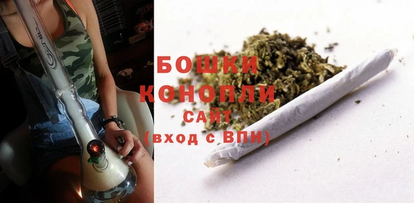 прущие грибы Абдулино