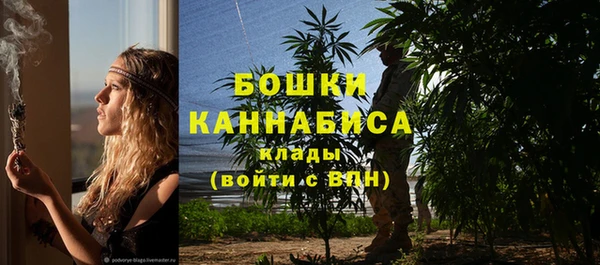 прущие грибы Абдулино