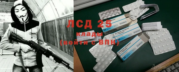 прущие грибы Абдулино