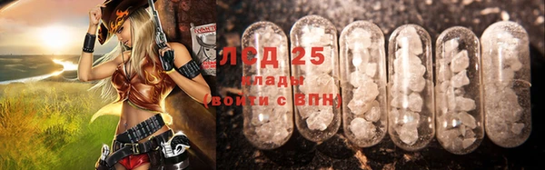 прущие грибы Абдулино